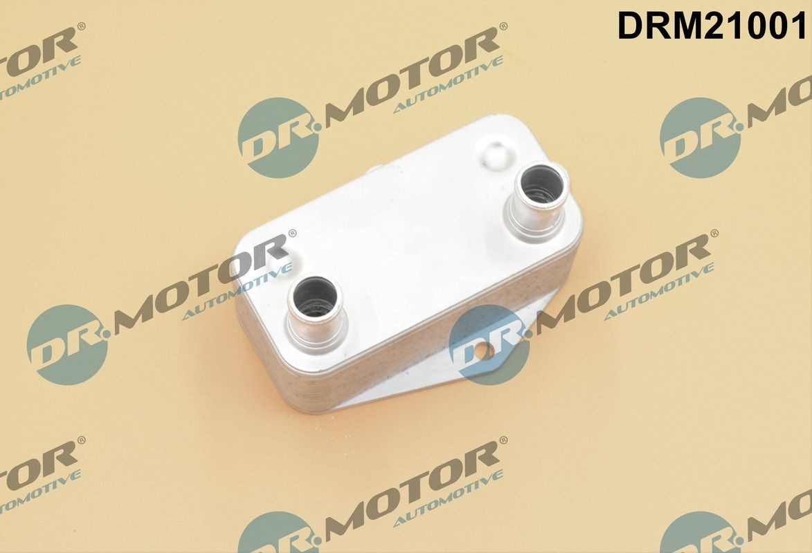 DRM21001 Dr.motor